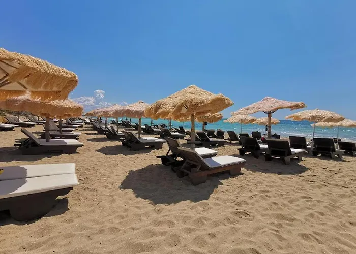 Samana B Con Privata A Bed & Breakfast Punta Prosciutto