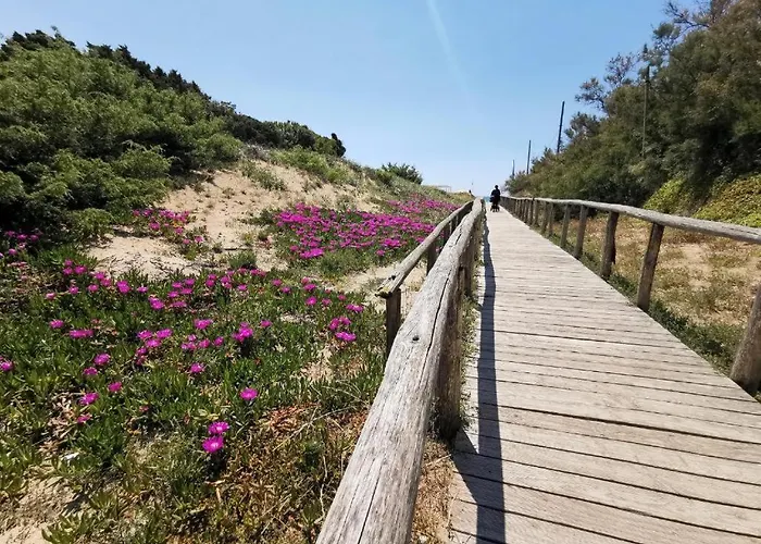 Bed & Breakfast Samana B Con Privata A Punta Prosciutto